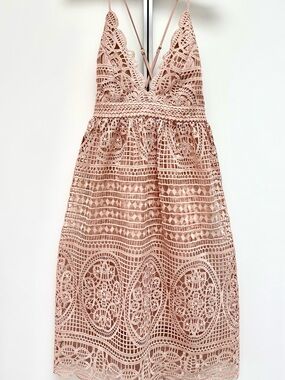 NWT - Bardot Midi Lace Dress - Super Elegant!